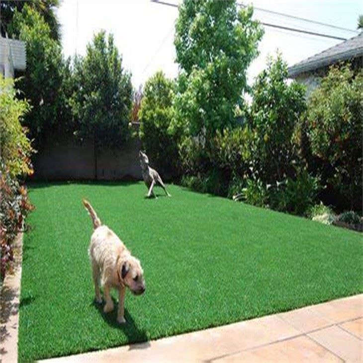 Pet Grass Dog Run Turf