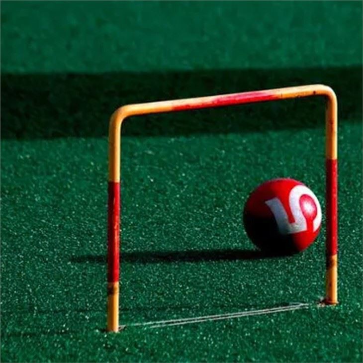 grass for gateball
