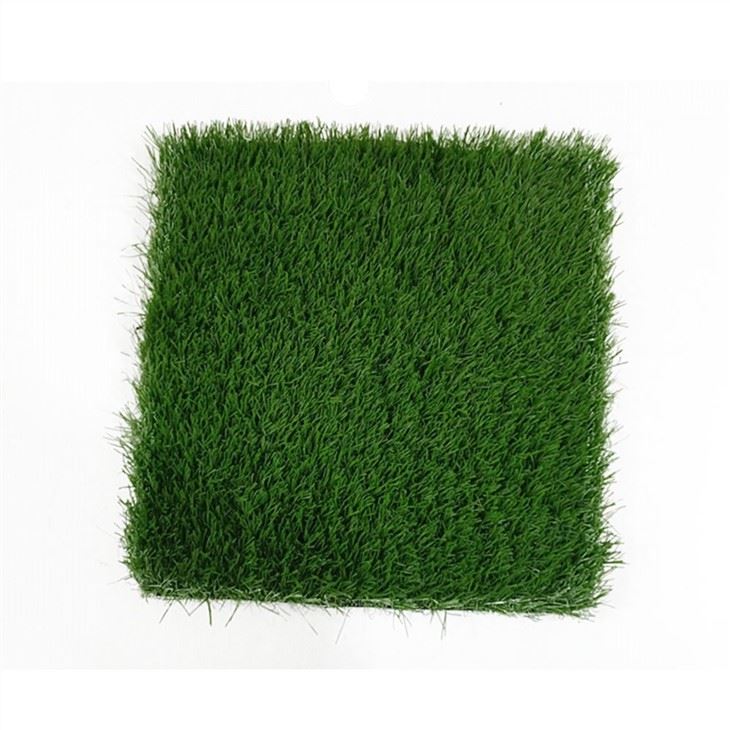 landcape grass1