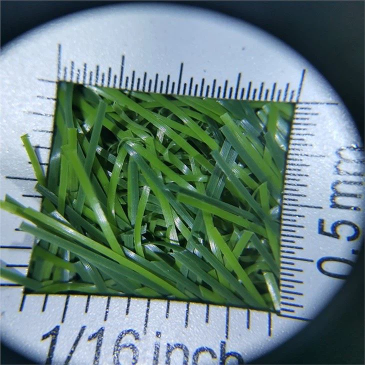 sawtooth grass