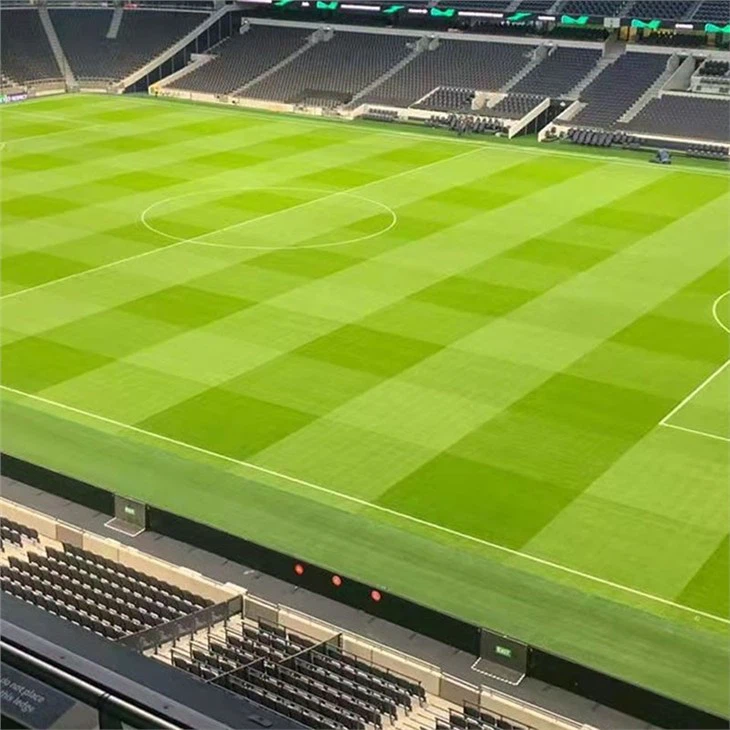 grass cost per m2
